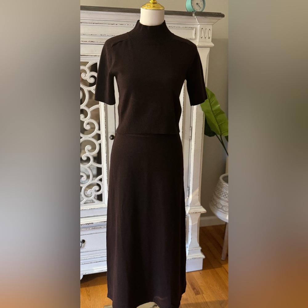 Brown Matching Women's Skirt and Top set